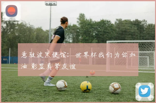 意驻波黑使馆：世界杯我们为你加油 彰显真挚友谊