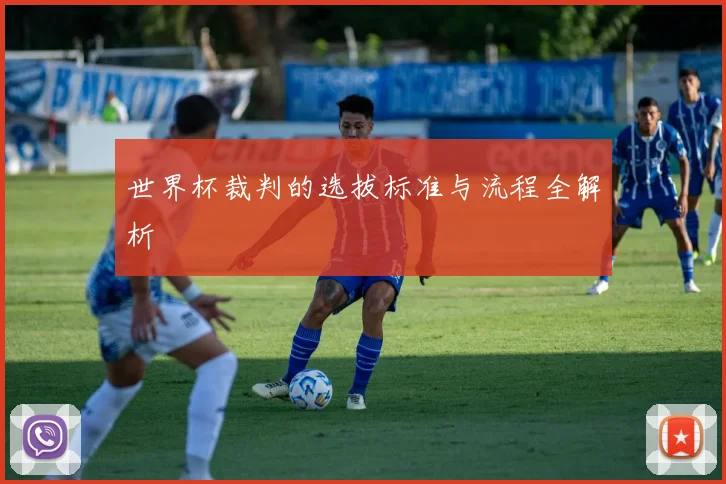 世界杯裁判的选拔标准与流程全解析