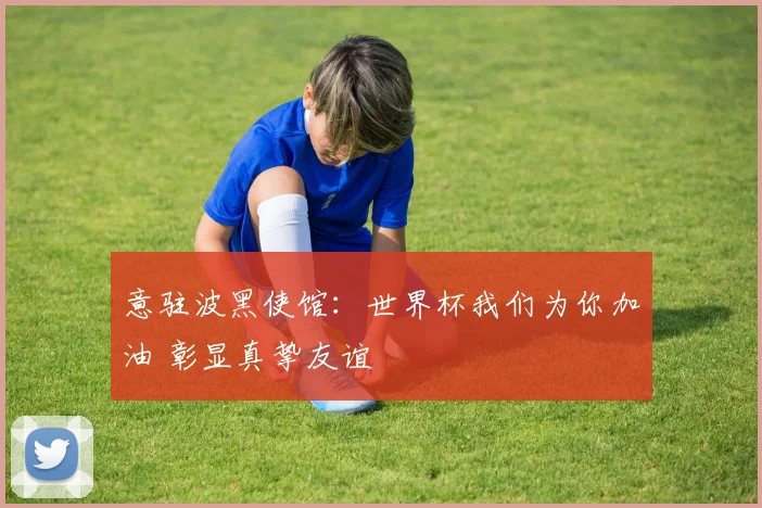 意驻波黑使馆：世界杯我们为你加油 彰显真挚友谊